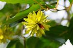 Dcim5492/DSC_8060