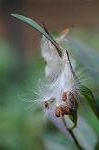 Dcim5492/DSC_8078
