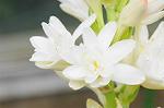 Dcim5492/DSC_8125