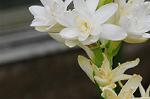 Dcim5492/DSC_8147