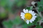 Dcim5492/DSC_8161