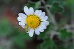 Dcim5492/DSC_8162