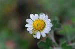 Dcim5492/DSC_8165