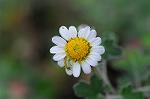 Dcim5492/DSC_8166