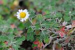 Dcim5493/DSC_8167
