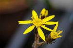 Dcim5493/DSC_8208