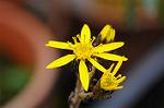 Dcim5493/DSC_8211