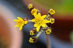 Dcim5493/DSC_8214