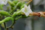 Dcim5493/DSC_8247