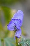 Dcim5493/DSC_8281