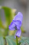 Dcim5493/DSC_8283