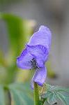 Dcim5493/DSC_8284