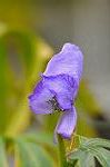Dcim5493/DSC_8296