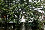 Dcim5494/DSC_1031
