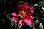 Dcim5495/DSC_8298