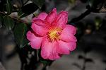 Dcim5495/DSC_8304