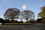 Dcim5496/DSC_8457