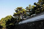 Dcim5500/DSC_8905