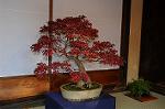 Dcim5500/DSC_8992