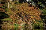 Dcim5501/DSC_9059