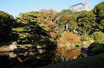 Dcim5501/DSC_9074