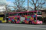 Dcim5503/DSC_1001