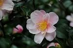 Dcim5506/DSC_9312