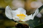 Dcim5512/DSC_9458