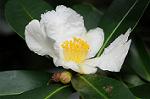 Dcim5512/DSC_9459