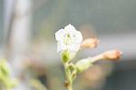 Dcim5513/DSC_9709