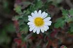 Dcim5513/DSC_9717