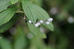 Dcim5514/DSC_9740