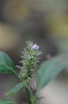 Dcim5514/DSC_9787