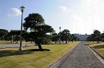 Dcim5520/DSC_0270