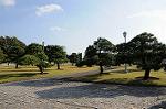 Dcim5520/DSC_0289