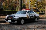 Dcim5520/DSC_0290