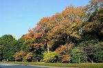 Dcim5522/DSC_0294