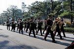 Dcim5522/DSC_0308