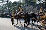 Dcim5522/DSC_0393