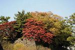 Dcim5523/DSC_0466