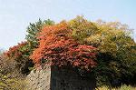 Dcim5523/DSC_0467