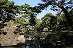 Dcim5523/DSC_0496