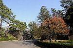 Dcim5523/DSC_0506