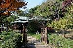 Dcim5523/DSC_0543