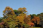Dcim5523/DSC_0551