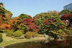 Dcim5523/DSC_0558