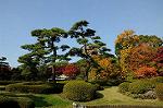 Dcim5524/DSC_0559