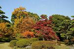 Dcim5524/DSC_0560