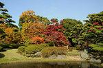 Dcim5524/DSC_0561