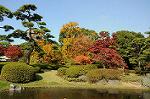 Dcim5524/DSC_0562